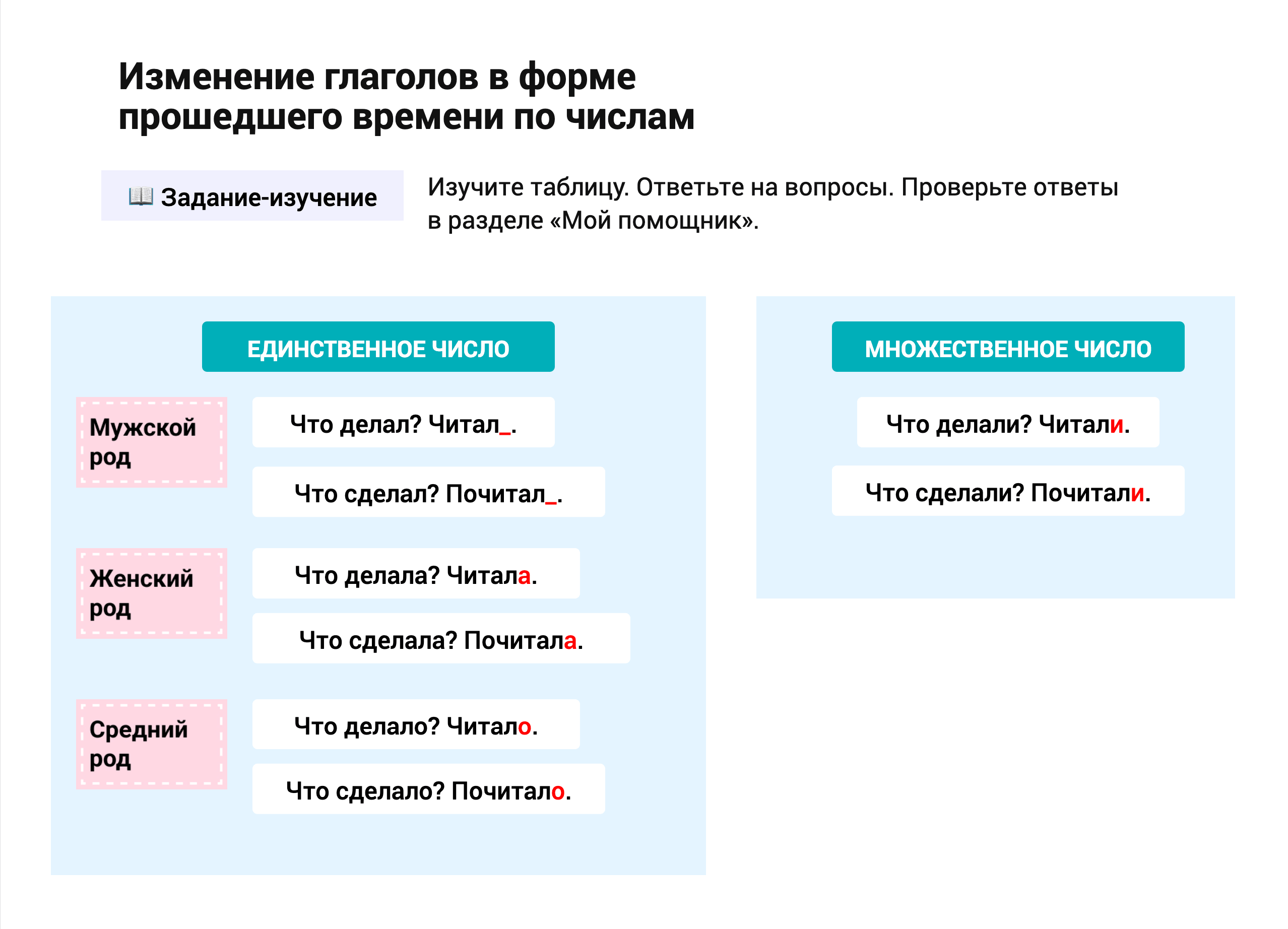 Задание-изучение: изменение по числам и родам